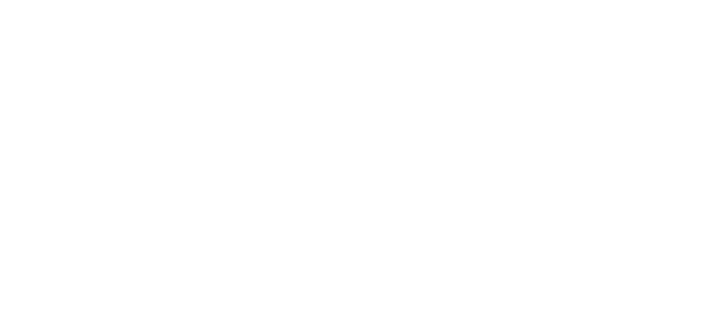 Wolt logo
